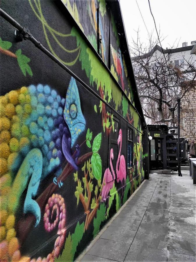 Bern Hostelキシナウ エクステリア 写真